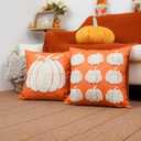Fall Pillow Covers 18x18 Inch Set of 2 Pumpkin Decorative Throw Pillow Cases Autumn Harvest Soft Pillowcase for Home Farmhouse Living Room Decor
