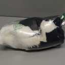 Douglas Chase Border Collie Dog Plush Stuffed Animal | 16-inch