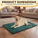 Colingmill Chew Proof Indestructible Dog Crate Bed, Green, 41” X 28”