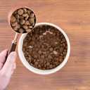 Wholesomes Sensitive Skin & Stomach Large Breed Salmon Dry Dog Food 30 lb (EXP 02/04/28)