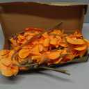 38 Inch Orange Orchids Artificial Flowers 6 PCS Fake Orchids Velvet Silk Orchids Faux Orchid Flowers Long Stem Artificial Flowers for Tall Vase for Home Wedding Decoration(Orange)