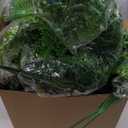 Geosar 42 Pcs Artificial Hanging Plants 32 Inch Hanging Boston Ferns Plastic Fake Plants for Wall Room Garden Wedding Garland Indoor Outdoor Decoration, No Basket