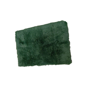 Dark Green Rug for Bedroom Living Room, Fluffy Small Area Rug Soft Shag Carpet for Kids Boys and Girls Room Home Decor 24x36 in
