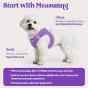 Rabbitgoo Dog Harness Small Sized and Leash Set, Step in Soft Light Puppy Vest, Breathable Mesh Pet Harness, Reflective for Safe Outdoor Walking, Purple M