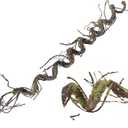 180cm/70.86in Bendable Artificial Tree Branches Liana Vines Garland Rattan with Moss Fake Plants Twigs for Wall Hanging Home Room Outdoor Wedding Background Decoration