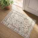 Machine Washable Small Rugs for Kitchen: Door Mat Indoor Entrance 2x3 Entryway Rug Stain Resistant Non-Slip Low Pile Soft Throw Carpet for Front Door Indoor Entrance Entry Bedroom Nursey (Beige White)