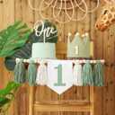 Wild One High Chair Banner First Birthday Decorations for Boy with Green 1st Birthday Hat Wild One Cake Topper