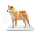 Digital Pet Scale for Dogs and Cats,Dog Scale,Max 220lbs,Rechargeable Version, 3 Weighing Modes lbs,kg,st,Precision 10g, 27.16X 12.99 Inches