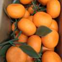 WILLBOND 15 Clusters Artificial Mini Orange Simulation Decorative Tangerine Kitchen Table Fake Orange Realistic Artificial Fruit Bowl Tray Faux Fruit for Home Party Kitchen Festival Decor