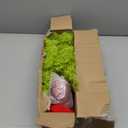 3 FT Small Christmas Tree Tabletop Decoration Whimsical Bendable Lime Green Christmas Artificial Tree with Red Ball Ornaments Xmas Holiday Desk Decoration for Home Office Table Fireplace