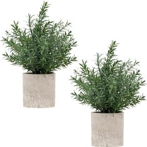 Coferset 2 Pack Small Fake Plants Rosemary Potted Artificial Plants for Shelf Desk Home Bathroom Farmhouse Room Coffee Table Decor (Green)