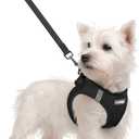 Rabbitgoo Dog Harness Small Sized and Leash Set, Step in Soft Light Puppy Vest, Breathable Mesh Pet Harness, Reflective for Safe Easy Walking, Black S (S (Chest: 15.1 - 16.5"))