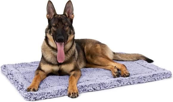 PELZIN Stoutwool Indestructible Dog Bed - Fluffy Chew Proof Dog Crate Pad - Tough Kennel Pad for Aggressive Chewers - Washable, Ideal for Jumbo Breeds & Fits 54-Inch Crate - 53"x35", Jacaranda