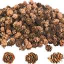 Deloky 800PCS Christmas Natural Mini Pine Cones-Thanksgiving Pinecones Ornaments-Fall Small Pinecones Vase Fillers for DIY Crafts, Fall, Christmas,Wedding Decor