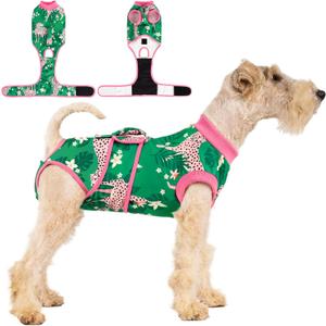 Recovery Suit for Dogs After Surgery,Female Male Dog Onesie for Spay Neuter,Substitute E-Collar & Cone,Anti-Licking Breathable Onesie for Small Medium Large Dogs (Pink and Green, Size: Medium)
