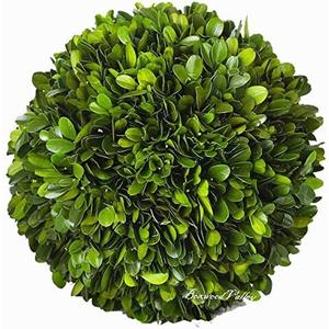 Boxwood Decorative Ball Preserved Real Boxwood Leaves Green Plants Home Decors for Christmas Thanksgiving Days Gifts Stay Fresh for Years Indoor Use Only (Small Ball, 6 inch)