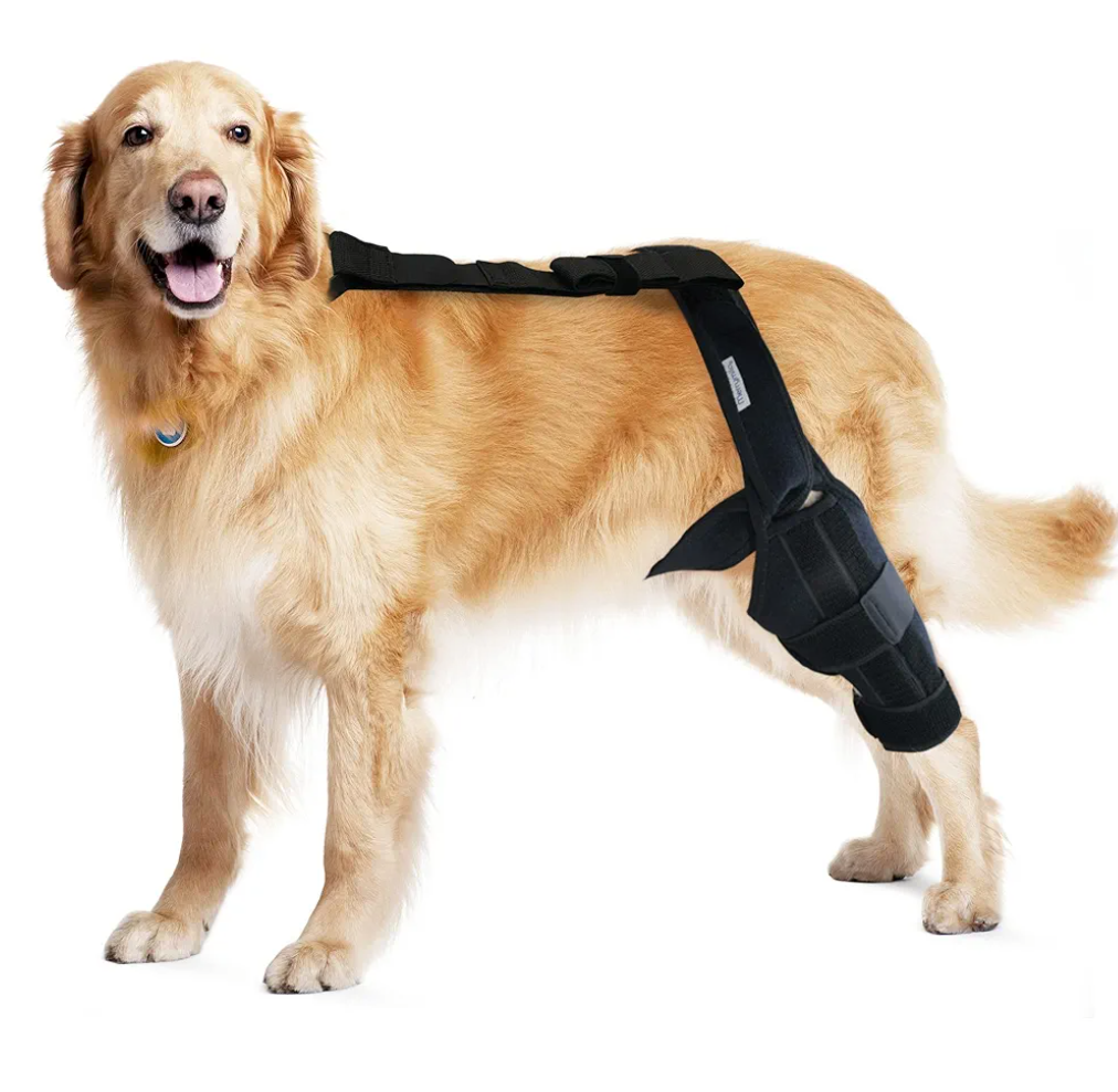 Dog Knee Brace for Hind and Rear Leg, Support for Dog ACL CCL Cruciate Ligament Injury Joint Pain and Muscle Sore, Size L