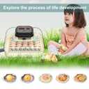 CoInceptus 35 Egg Incubator with Automatic Egg Turning and Humidity Control, Incubator for Chicken Eggs, Quail, Duck Eggs, with Egg Candler