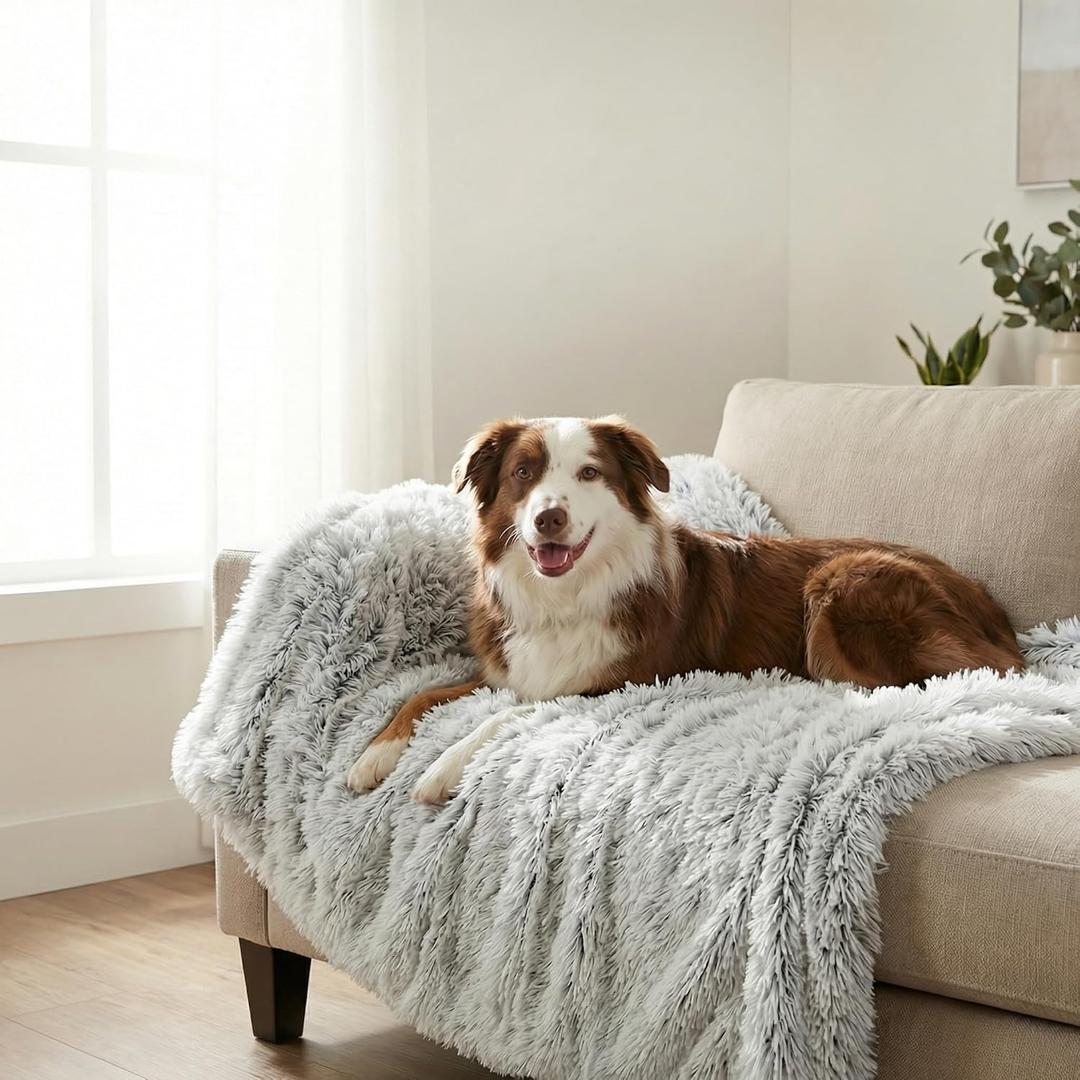 PJYuCien Dog Blanket for Dogs, Puppies and Pets, Lightweight & Portable Fluffy Fleece Throw, Super Soft Plush Cat Blanket for Couch/Car Seat/Furniture, Machine Washable, 50"x60", Grey