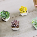 7 Set Artificial Faux Succulents in Pots Artificial Succulent Plant for Women Assorted Decorative Small Fake Plant Potted Faux Cactus Plant for Shelf Desk Room Bedroom Bathroom Office Decor (Cute)