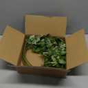 HyeFlora 5PCS Artificial Eucalyptus Leaves Stem Plants for Spring Decor, 32.7 inch Fake Leaves Greenery Branches Green Shrubs Silk Faux Foliage DIY Stems for Festival Home Kitchen Farmhouse(Green)