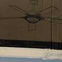 Fanbulous 56" Ceiling Fans with Lights, Rustic Ceiling Fan with Dimmable LED Light, Remote/APP Control,5 Dual Finish Blades,6-Speeds Traditional Ceiling Fan for Bedroom, Living Room,Indoor & Outdoor