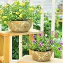 Sungmor Cement Planter Succulent Pots, Set of 2 Concrete Cactus Plant Pot with Drainage Hole, Embossed Design Flower Pot for Home Office Decor,  7.5" & 9.4" Indoor Outdoor Plants Container