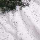 Christmas Tree Skirt 30" 36" 48" White Luxury Faux Fur Tree Skirt Stars Plush Tree Skirt for Christmas Tree Pencils Tree 906/Silver/78