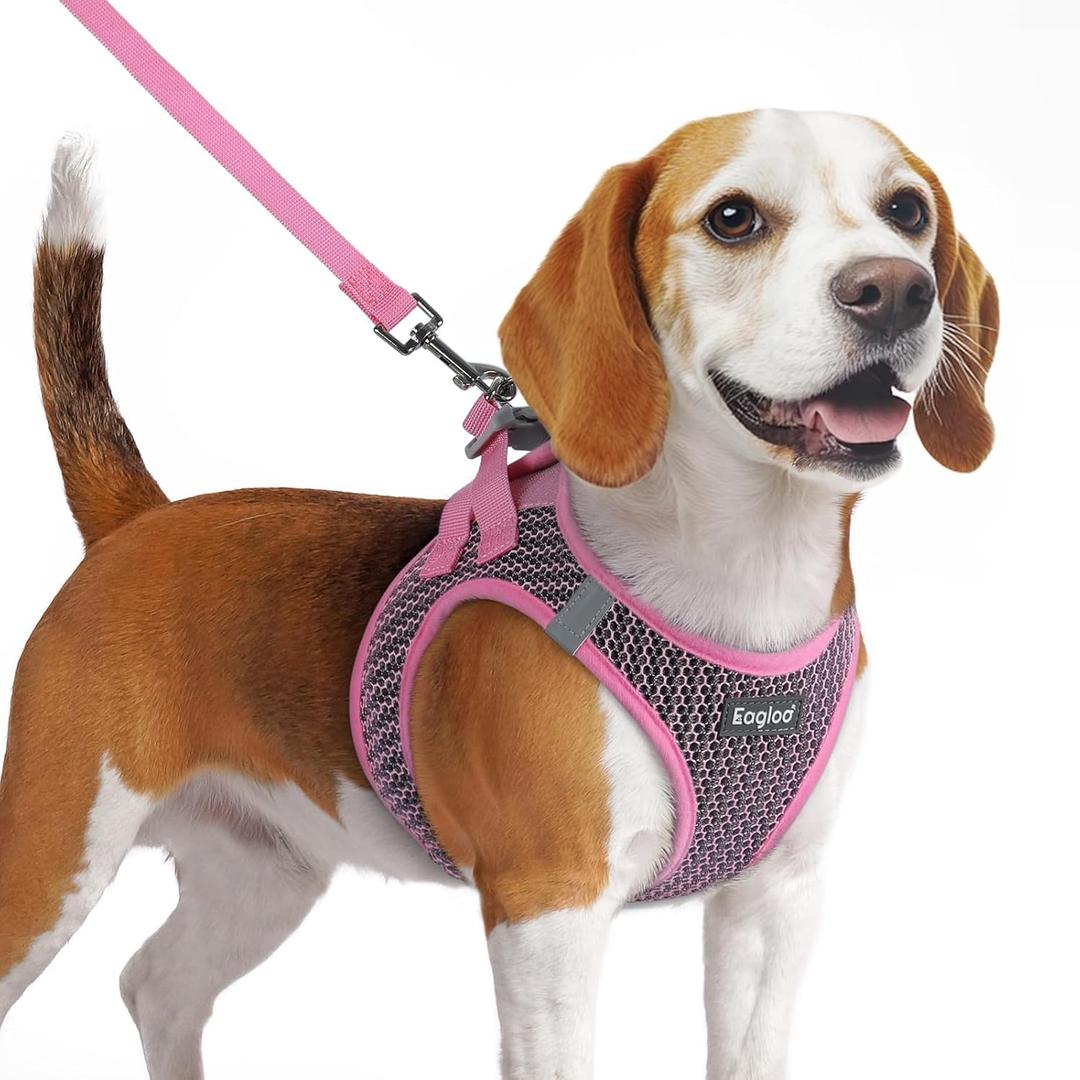 Eagloo Small Dog Harness and Leash Set, Step in Puppy Vest with Breathable Soft Mesh, Walking Reflective Pet Harness for Medium Small Dogs, Pink, M (Chest:16.0"-18.5")