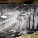 Trogonup Black and White Misty Forest Wall Art for Living Room Trees Large Nature Canvas Artwork for Bedroom Office Home Decor Ready to Hang 20"x40", 20L" x 40W"