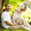 Epesiri Golden Spike Collar for Dogs, Gold Spiked Dog Collar, Durable PU Leather Studded Dog Collar with Leash, Funny Mushrooms Rivet  Pet Cat Adjustable Collar, Pink XXL