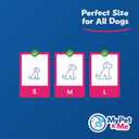 3 x My Pet & Me - Squeaky Dog Toys for Light to Moderate Chewers - Fun Latex Toys for Puppies, Teething, and Gentle Play - Interactive Fetch and Chew Toy with Squeaker (Golden Bear, 6 Inch)