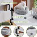 BYBYME Cat Desk Bed for Indoor Cats, Kitty Bed for Worktable Supports 44 lbs, 360 Rotation & Adjustable, Soft Cat Nest Desktop with Hanging Ball for Office Desks Home Tables, 12" in DiameterGray