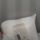 Globon Luxury Down Pillows Queen Size Set of 2 for Side Sleepers, 100% Cotton Shell Hotel Collection Bed Pillow for Sleeping, Firm Down Surrounded Feather Pillow 20" x 30"