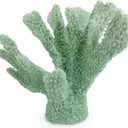 Resin Coral Decor Beach Decorations for Home Coastal, Decorative Coral Sculpture Ocean Decor for Bedroom Shelf Tabletop Wedding Party Theme Statue (Mint Green)