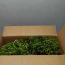 THE BLOOM TIMES 2ft Faux Boxwood Plants Outdoor Set of 2, Topiary Balls Artificial Outside Trees, 24" UV Resistant Fake Greenery Bushes & Shrubs for Front Porch Planter