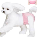 Ambreview Disposable Dog Diapers Female, Just Pull It Up, Doggie Diapers for Female Dogs, Strong Absorbency | Leak Proof, for Dogs in Heat | Elderly | Disabled, XS 30 PCS