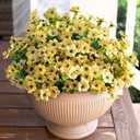 HyeFlora Artificial Fall Flowers Faux Mums for Outdoor Indoor Garden Home Decoration, Faux Flower Daisy with Eucalyptus Leaves Fake Plants Greenery Boxwood Porch Patio, 12 Bundles (Yellow)