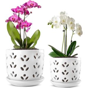 REMIAWY Orchid Pot, 2 Pack Orchid Pots with Drainage Holes and Saucer, 6 Inch and 5 Inch Large Ceramic Planter for Repotting Indoor Plants, Succulent, Decorative, Good Air Circulation, White