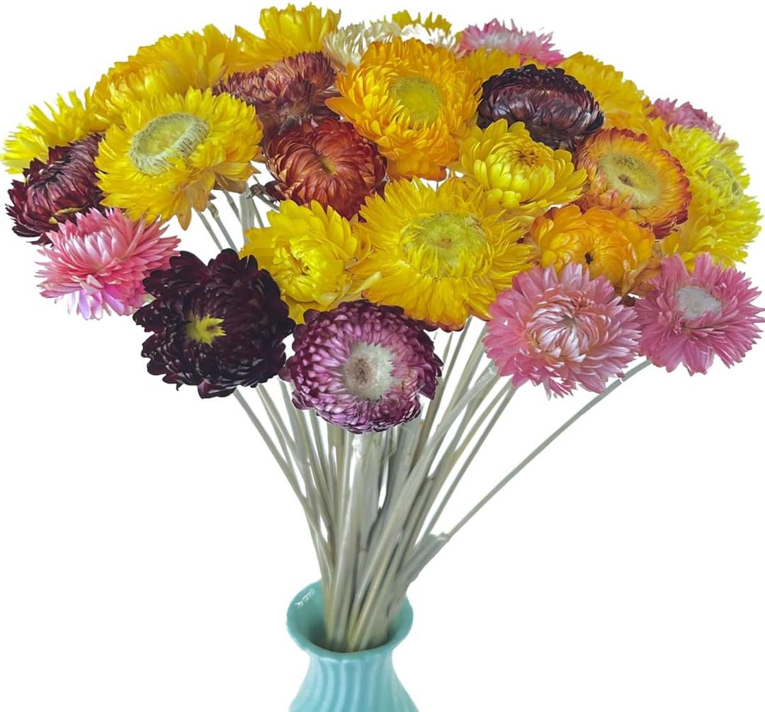 TooGet 40 Pcs Natural Dried Daisies, Dried Daisy Flowers Bouquet with Stem for Wedding Home Office Party DIY Flower Arrangement