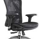 SIHOO M57 Ergonomic Office Chair with 3 Way Armrests Lumbar Support and Adjustable Headrest High Back with Tilt Function (Black)