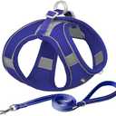 AIITLE No Pull Dog Harness and Leash Set, Step in Adjustable Dog Harness with Padded Vest for All Weather, Dog Leash with Soft Padded Handle, Easy to Put on Dogs Royal Blue 3XS