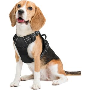 rabbitgoo Dog Harness No Pull with 2 Leash Clips, Adjustable Soft Padded, Reflective Oxford No Choke Pet Vest with Easy Control Handle for Small Dogs, Black, S