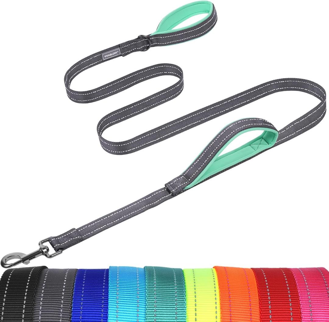 VIVAGLORY Twingrip Dog Leash, Double Handle Dog Leash for Training & Walking with Traffic Handle & 2 Loop, Traffic Control Reflective Heavy Duty for Puppy Pet, 5ft x 1in, Grey