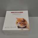 Interactive Cat Toys Rechargeable,Moving Concealed Feathers,Real Mouse Squeaky,Touch Activated Cat Kitten Toy Exercise Toys for Indoor Bored Adult Cats (green)