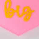 Dream Big Mini Hanging Felt Banner，- Baby Kids Girl Nursery Wall Decor, Kids Room Flag, Cute Decorative Banner, Charming Decoration For Small Spaces (pink)
