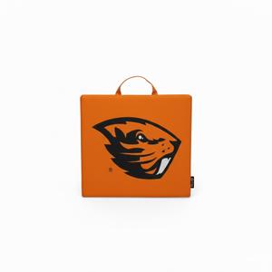 Logo Brands Officially Licensed NCAA Unisex Bleacher Cushion, One Size, Team Color (14" x 14" x 1")