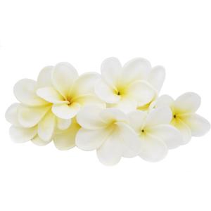 Winterworm Bunch of 10 PU Real Touch Lifelike Artificial Plumeria Frangipani Flower Bouquets Wedding Home Party Decoration (Yellowish White) Winterworm Bunch of 10 PU Real Touch Lifelike Artificial Plumeria Frangipani Flower Bouquets Wedding Home Party Decoration (Yellowish White)