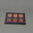 SHANY Shimmer & Matte Warm-Toned Blush Palette - Layer 6 - Refill for the 6 Layer Mini Masterpiece Collection Makeup Set (6.5 x 4.5 x 0.5 Inch)