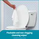 Medline Readyflush Biodegradable Flushable Wipes, 576 wipes (24 pack of 24 wipes)
